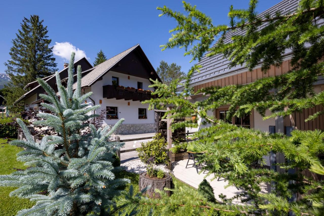 Alp * Bohinj