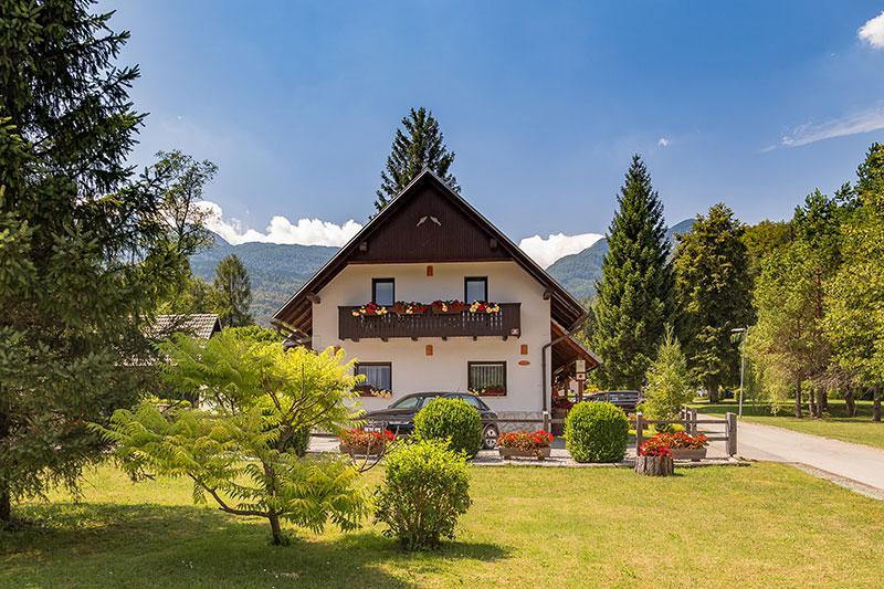 Alp * Bohinj